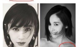 明星黑料最新,明星黑料曝光，真相背后引人深思