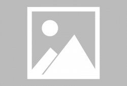 仇恨最新爆料电影